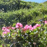 Krapfenalm Apartamento