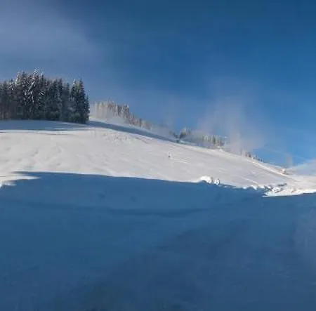 Krapfenalm Apartmán