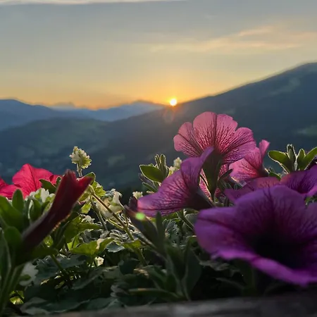 Krapfenalm * Wagrain