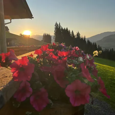 Krapfenalm *