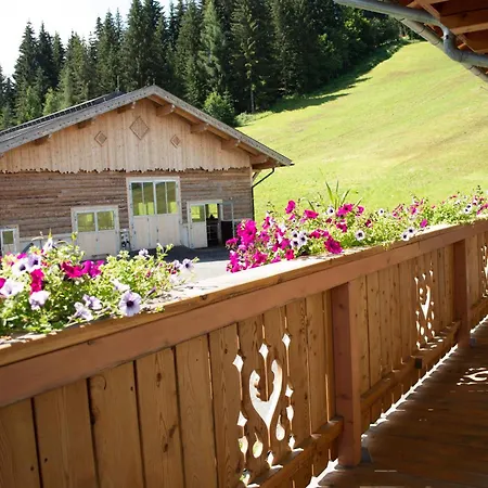 Krapfenalm Apartamento Wagrain