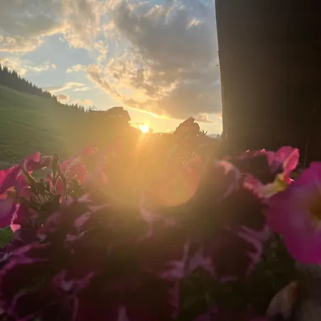 Krapfenalm Apartamento *