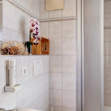 Apartment Krapfenalm Wagrain