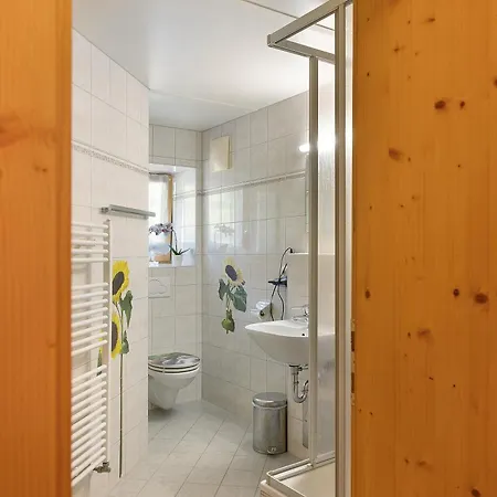 Krapfenalm Apartment *