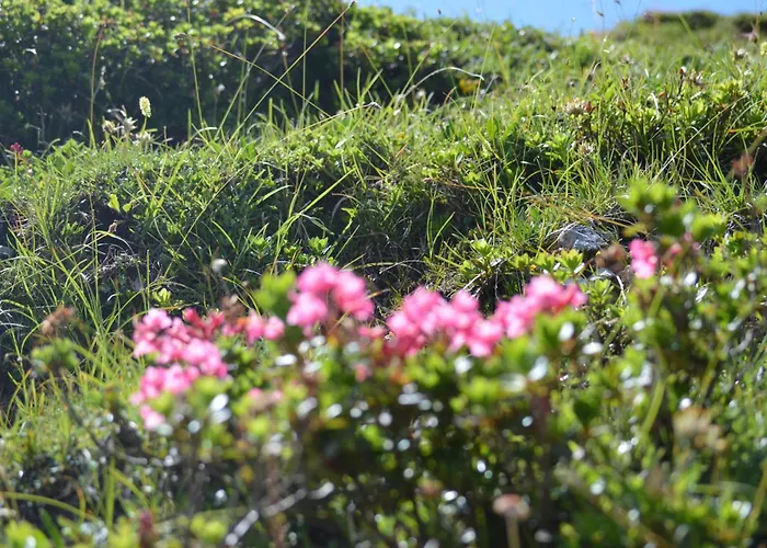 Krapfenalm Apartman *