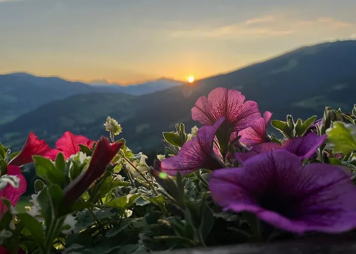 Krapfenalm * Wagrain